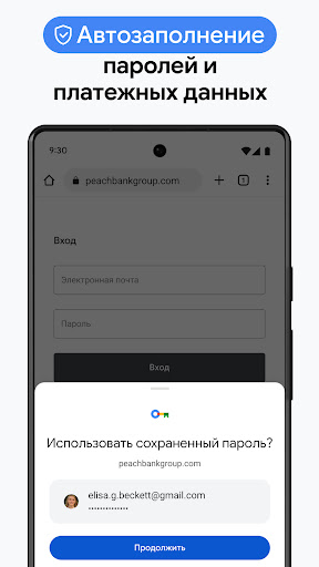 Google Chrome